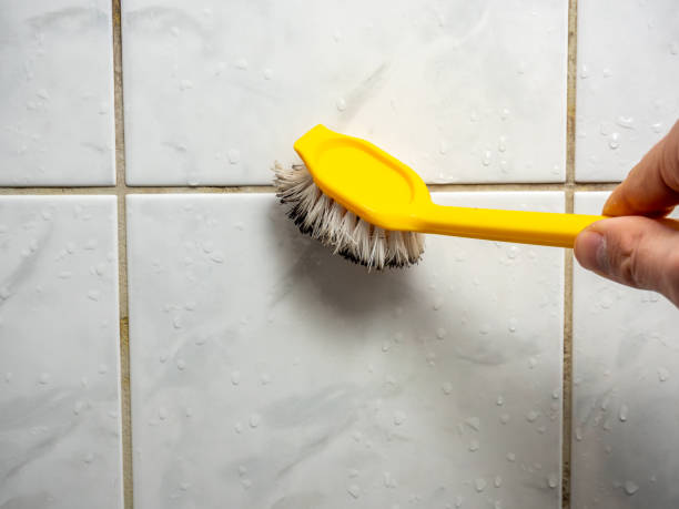 Best Same-Day Mold Removal  in North Edwards, CA