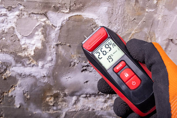 Best Mold Testing  in North Edwards, CA