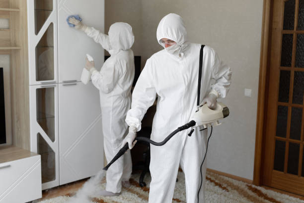 Best Mold Removal Near Me  in North Edwards, CA