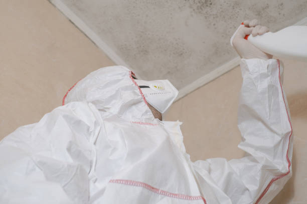 Best Mold Cleaning Services  in North Edwards, CA